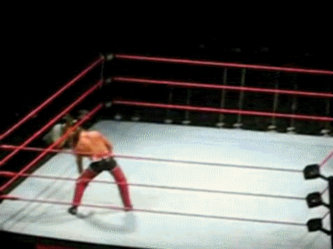 http://mob282.photobucket.com/albums/kk254/elxnanoxwwe/ShawnMichaelsSweetChinMusicChrisJer.gif?t=1242064449